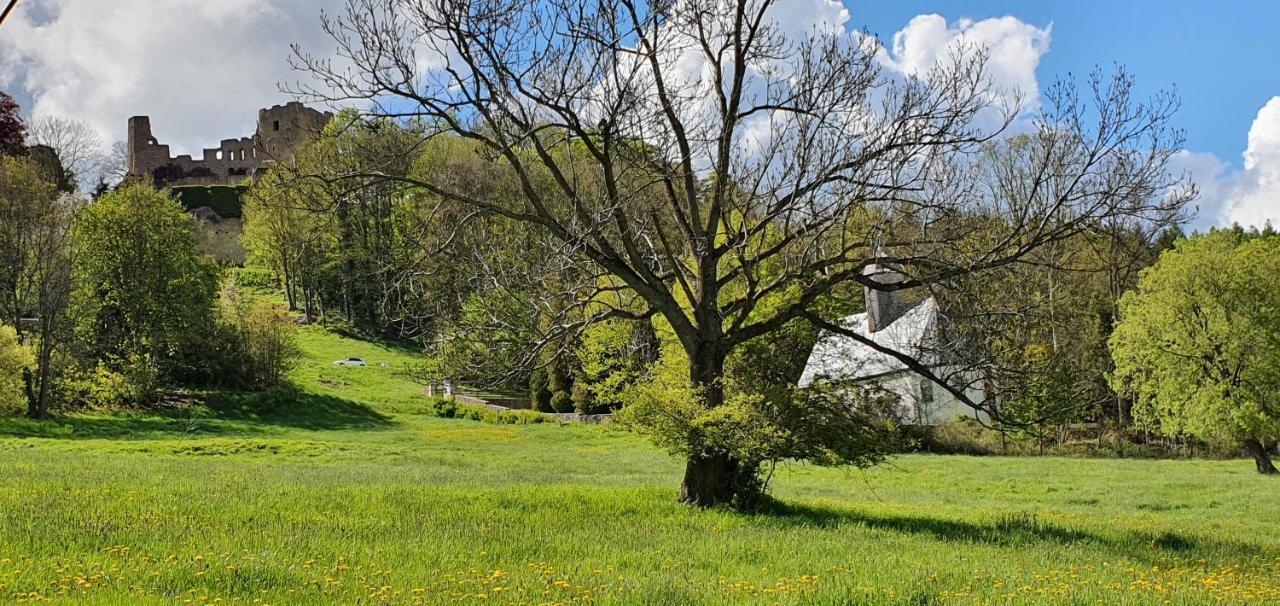 Zum Elleblick Apartment Frauenstein  Exterior photo